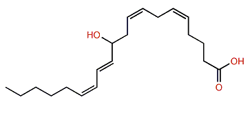 11-Hydroxyeicosa-5,8,12,14-tetraenoic acid